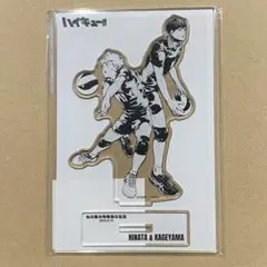 ハイキュー!!　アクリルスタンド　日向翔陽&影山飛雄 仙台観光特使就任記念