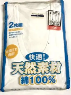 Item thumbnail for item 997bc855-21e1-42b4-904e-443ab141a8f0