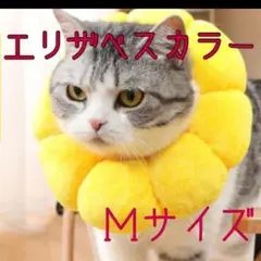 Item thumbnail for item efef6437-439d-49f8-92ca-8fb0d4124e69