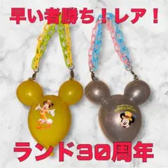 【早いもの勝ち！レア】ディズニーランド30周年　ミニスナックケース　2個セット