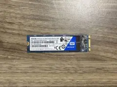 WD Bule 500GB WDS500G2B0B-EC