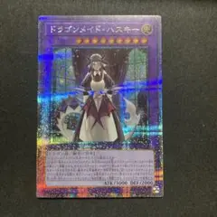遊戯王　ドラゴンメイドハスキー　25th