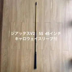 【最終値下】限定カラー　ジアッタス　V2　5S 45インチ キャロウェイスリーブ