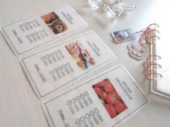 貯金シート 3枚セット バインダー貯金　saving 韓国