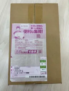 未開封 ポケモンセンタートウホク　スペシャルBOX