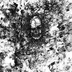 激レア FACT co3 CD DEMO デモ 新品未開封 Vaundy / replica / 通常盤 (CD) | 最北のCD