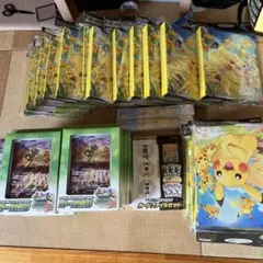 ポケモンカードゲーム カードファイルセット