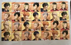 ハイキュー ゴミ捨て場の決戦 ビジュアルカード アニメイト特典