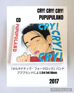 CRY! CRY! CRY! / PUPUPULAND 2017年作品