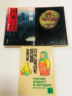 社会政治書籍3冊セット 国家の罠ほか 佐藤優