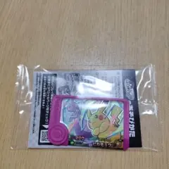 新品未使用ポケモン フレンダピカチュウ　匿名配送