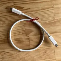 Apple 純正 Thunderbolt2 ケーブル　0.5m 箱無し