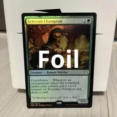 [EN]セテッサの勇者/Setessan Champion[THB][Foil]