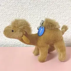 出品停止間近　ファンシー　おみやげ