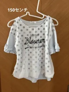 Black sue 水玉模様 半袖トップス