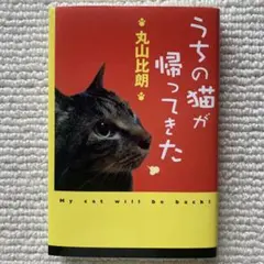 うちの猫が帰ってきた
