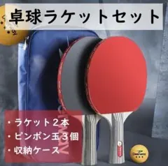 在庫処分セール 卓球 卓球ラケットセット ラケット2本 ピンポン玉3個 ケース付