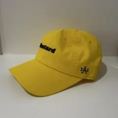 AMERICAN NEEDLE FOOD CAP Mustard