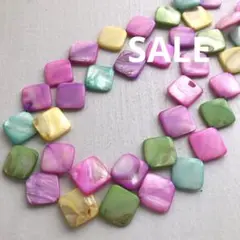 zv604/SALE！シェル◇マルチカラー2連