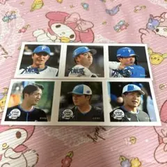 日本ハムファイターズ 郡司裕也 フォトチップス