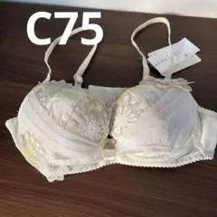 ワコール　リボンブラ　パルファージュ