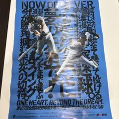 第107回全国高校野球選手権大会ポスター