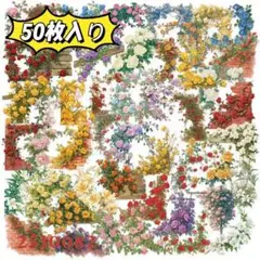 Item thumbnail for item 43af5c87-5962-4958-b127-da14bd4c4a7b