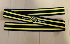 Item thumbnail for item 4e106867-664f-4a57-8f47-40c1fe6f1996