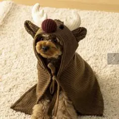 Item thumbnail for item c6e008e2-e635-48a7-9236-2ce47f464681