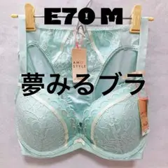トリンプ カラフルフラワーガーデン 夢みるブラ Deep V ブラ＆ショーツ