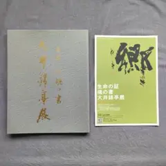 生命の証・魂の書【大井錦亭展】図録