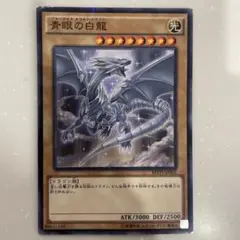 青眼の白龍 CoCo壱