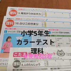 小学5年生 理科 カラーテスト(未使用品2枚)