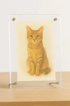 【ペット遺影用】優しい温かい色鉛筆風イラスト A4額装仕上げ