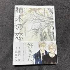 積木の恋 (Canna Comics)／黒沢 要、凪良 ゆう