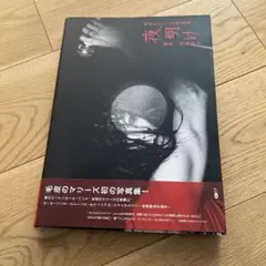 夜明け 毛皮のマリーズ　写真集　レア物！ 夜明け 毛皮のマリーズ 写真集 レア物！