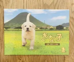 非売品　プレスノート　きな子　見習い警察犬の物語