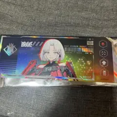 勝利の女神NIKKE 2024夏 韓国　高級募集チケット　ドレイク