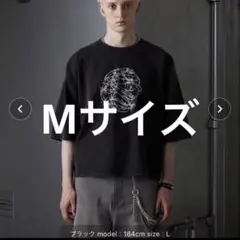 【GRANCY】グラフィックデザインリバーシブルTシャツ　Mサイズ　黒