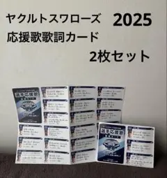 ヤクルトスワローズ CREW DAY 2025 応援歌詞カード 2枚セット