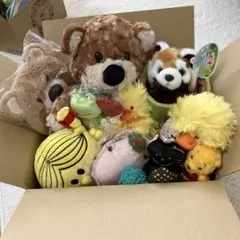 ぬいぐるみいっぱい　80cmセット