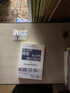 キャリア開発/キャリア・カウンセリング: 実践個人と組織の共生を目指し