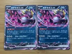 キチキギス　ex 2枚