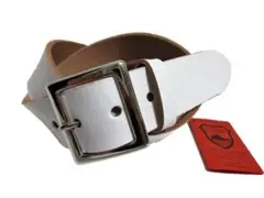 Item thumbnail for item 81a85a0e-90f0-4fb6-8603-faa570486c0a