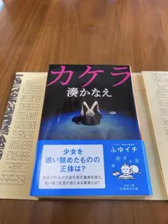 カケラ ふゆイチ著