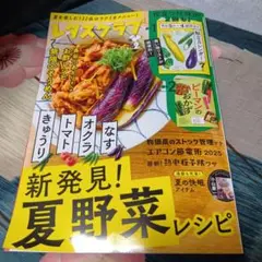 レタスクラブ 夏野菜レシピ特集号