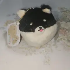 しっぽぶんぶんわんわんず2 くろしば