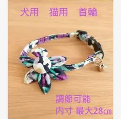 Item thumbnail for item e0117b3d-6c30-4f84-86f1-2c4bbad43b6c