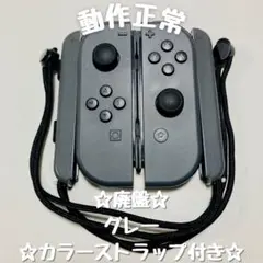 【廃盤】Switch ジョイコン グレー