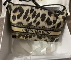 DIORTRAVEL スモール ノマドポーチ